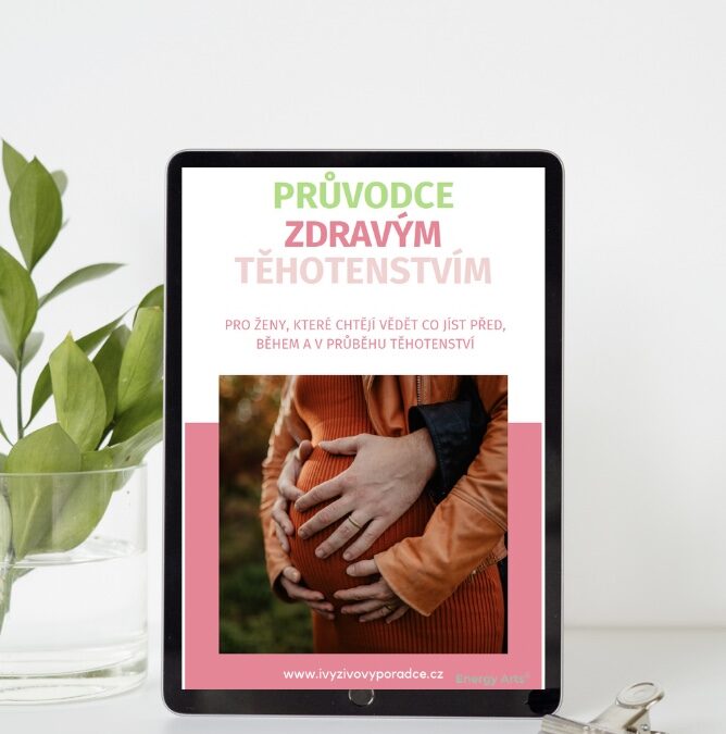 Jak na zdravé těhotenství e-book